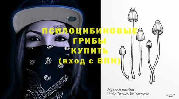 первитин Абинск