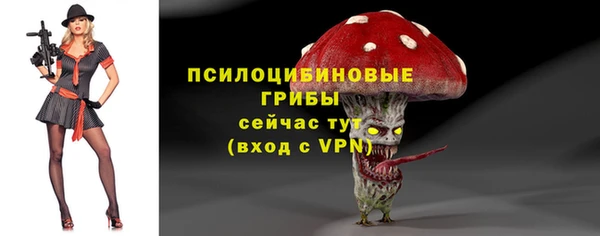ПСИЛОЦИБИНОВЫЕ ГРИБЫ Алзамай