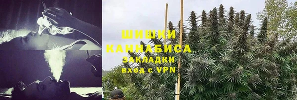 гидра Рославль