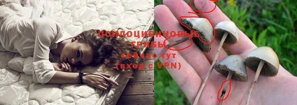 гидра Рославль