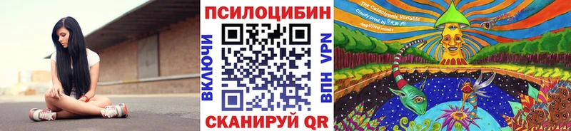 Галлюциногенные грибы Psilocybe  Егорьевск 